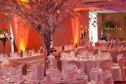 Castleknock Hotel Ballroom image